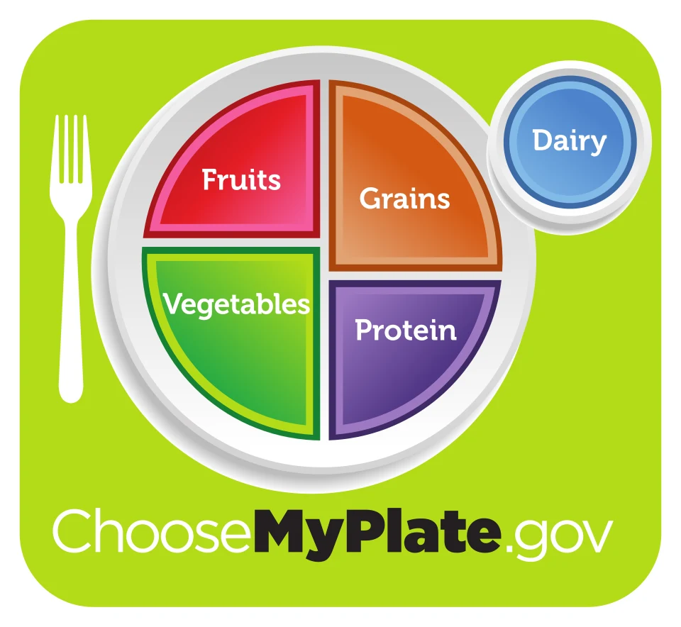 گروههای غذایی در مدل آموزشی MyPlate وزارت کشاورزی آمریکا؛ مقدار و بافت غذا پس از عمل باید طبق برنامه فردی باشد.
